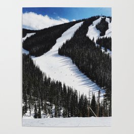 Tiny Skiers Poster