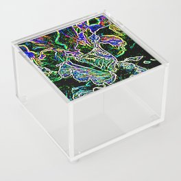 String Theory Floral Acrylic Box