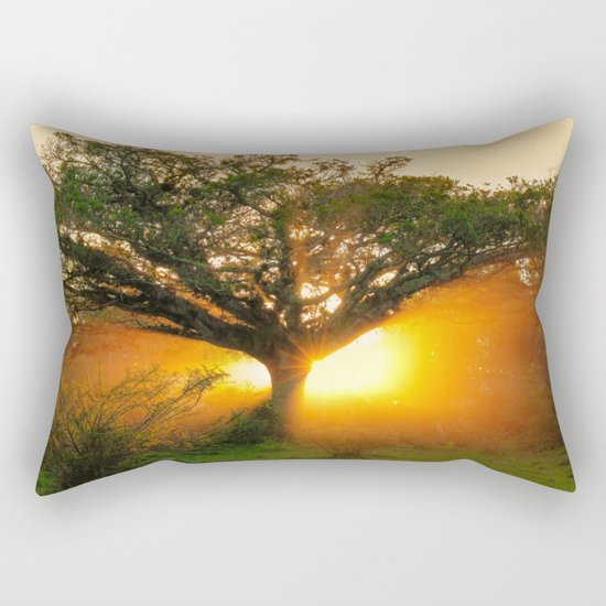 The Rebirth of Light Rectangular Pillow