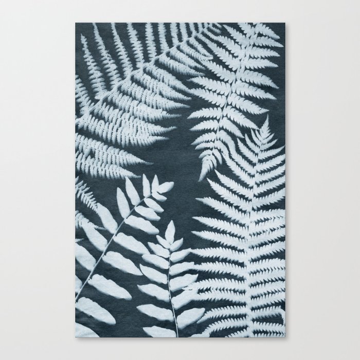 Sun Print Fern #1 Canvas Print