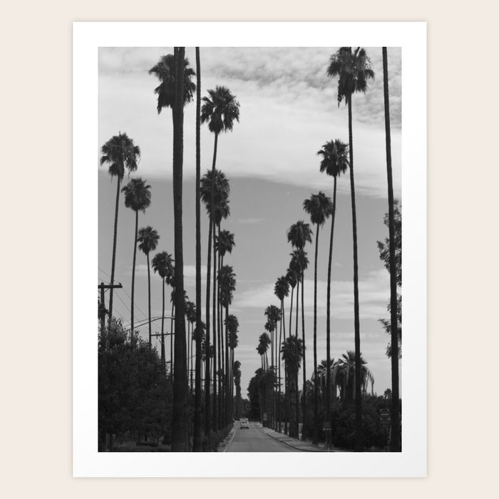 Vintage Black White California Palm Trees Photo Art Print By Bravuramedia Society6