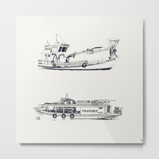 On paper: Capote y Picaflor Metal Print