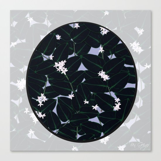 Night Blooming Canvas Print
