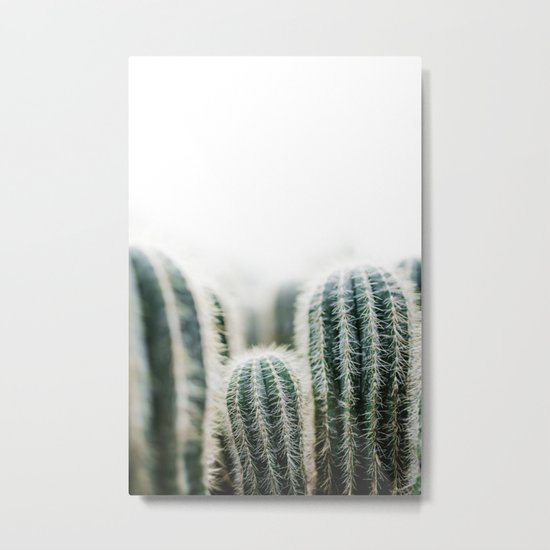 Cactus 1 Metal Print