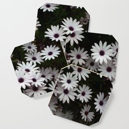 White African Daisies In A Flower Bed Coaster
