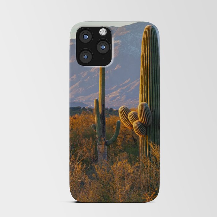 Sonoran Desert Sunset iPhone Card Case