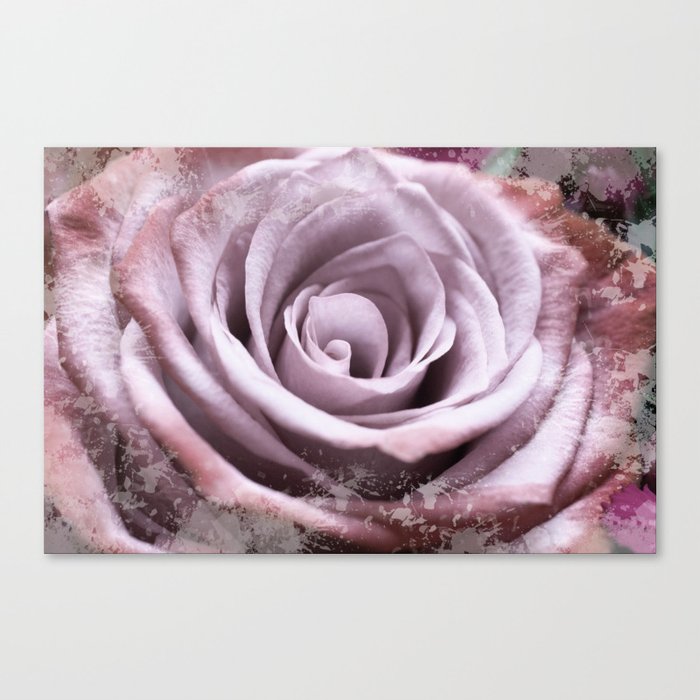 Pastel Pink Lilac Rose #1 #floral #art #society6 Canvas Print