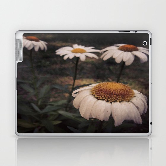 Margarita Flower Laptop & iPad Skin