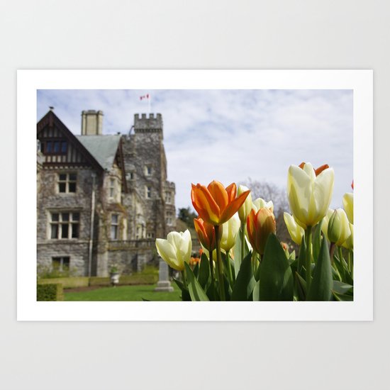 Castle Tulips Art Print