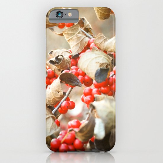 Winter Berries iPhone & iPod Case