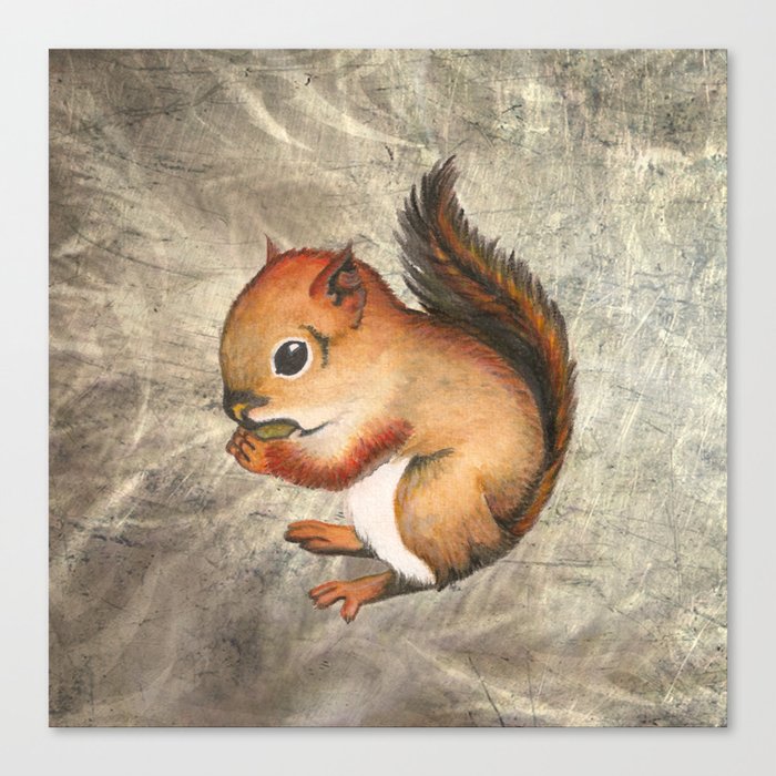 Sciurus (Baby Squirrel) Canvas Print