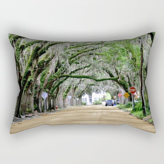 The Fountain of Youth 450th Year Celebration Rectangular Pillow