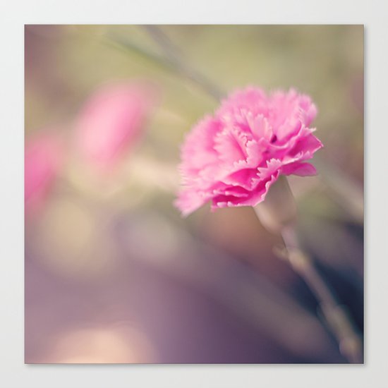 Pink Canvas Print