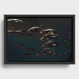Fish - Underwater Framed Canvas