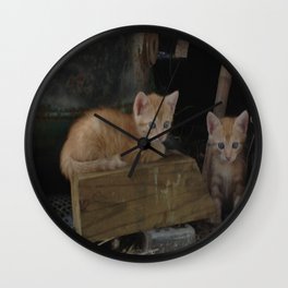 More Kitty Kats!!! Wall Clock | Kittens, Outdoors, Kittie, Cute, Painting, Animal, Cat 