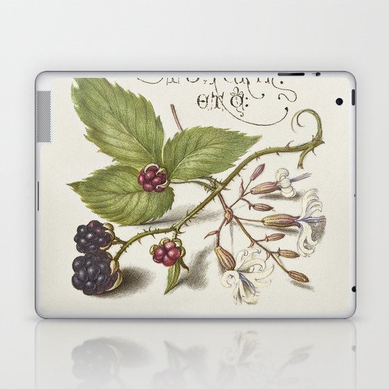 Vintage calligraphy blackberries Laptop & iPad Skin