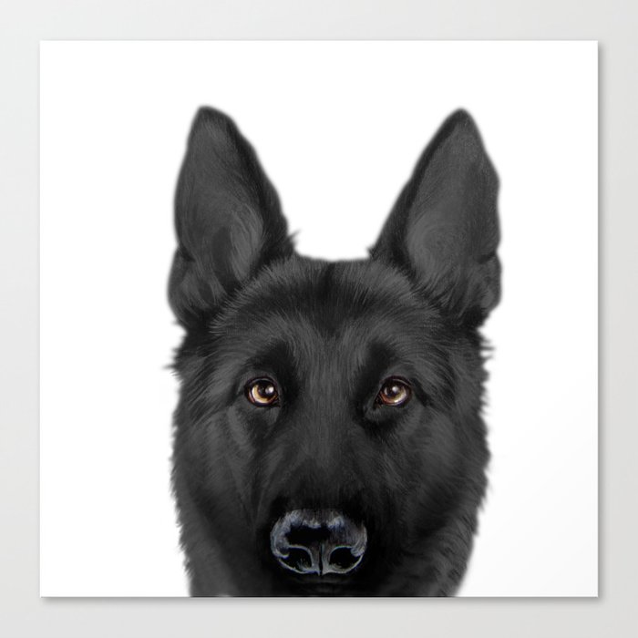 Black German Shepherd Original Painting By Miart Canvas Print By