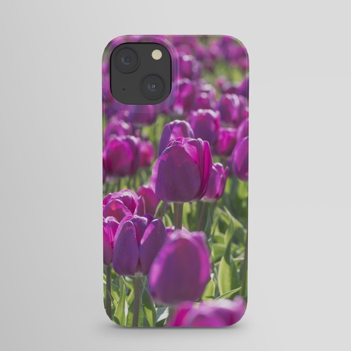 Floral purple Dutch tulips art print - tulip flower field - spring nature and travel photography iPhone Case