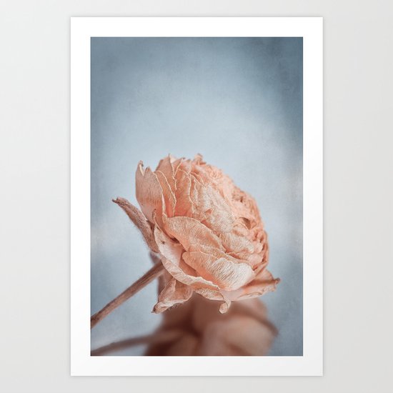 DRIED FLOWER Art Print