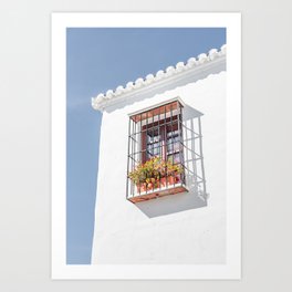Sky view / White building / Cute window with flower plant on windowsill Art Print