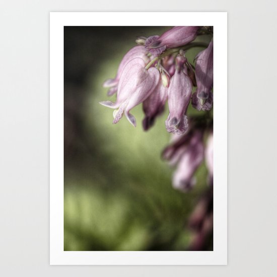 bleeding heart. Art Print