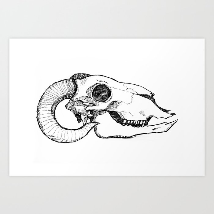 Sheep Skull Art Print by mamome | Society6