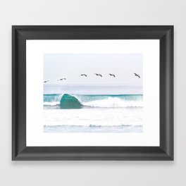 Pelicans Framed Art Print
