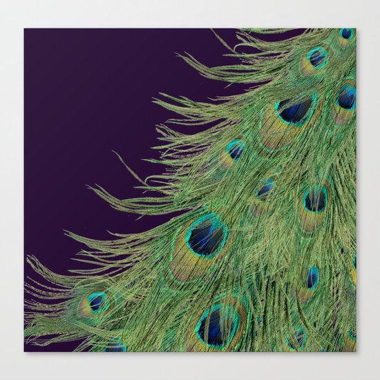 Peacock Feathers on Purple Background Canvas Print