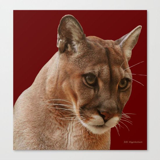 THAT FACE Canvas Print