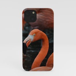Flamingos in the rain iPhone Case