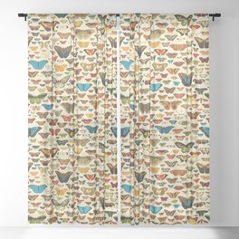 Vintage Colorfull Butterflies Collection Sheer Curtain