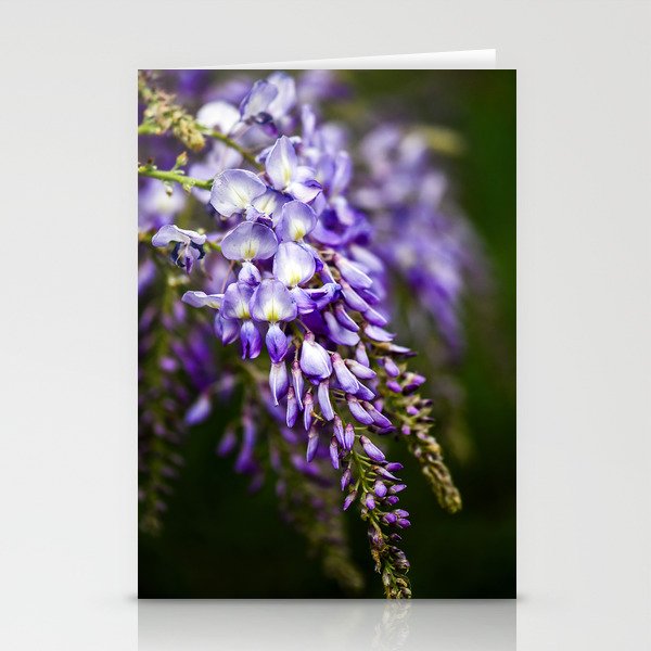 The Wisteria Stationery Cards
