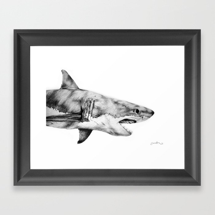 Great White Shark Framed Art Print By Yaninruibal Society6 - Framed Shark Pictures Great White Shark Framed Art Print By Yaninruibal Society6 - Framed Shark Pictures