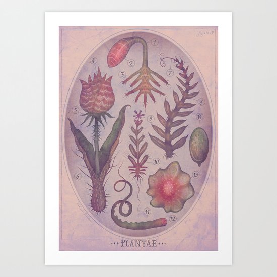PLANTAE IV Art Print