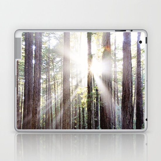 Sunburst Through the Redwoods Laptop & iPad Skin