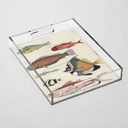 fish by Louis Renard Acrylic Tray