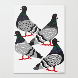 Pigeon Power Canvas Print