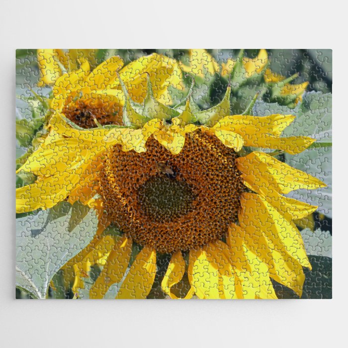 Turning for the Sun Jigsaw Puzzle