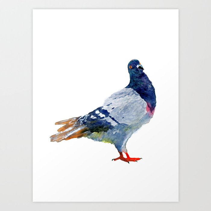Watercolor Pigeon Pose #3 Art Print