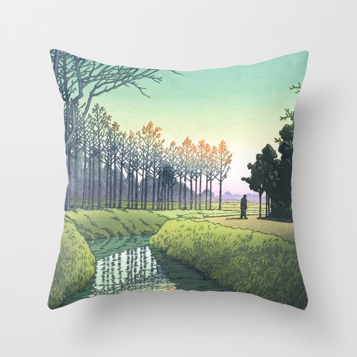 Throw Pillow