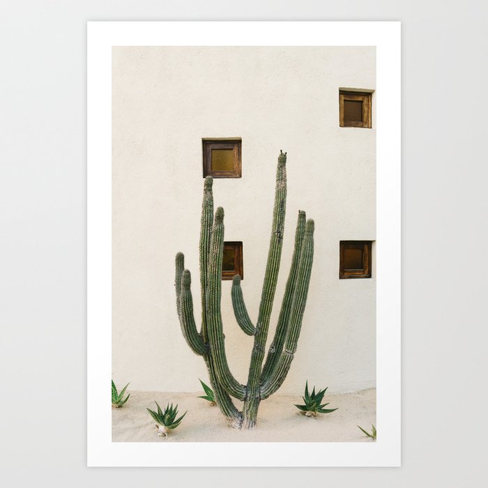 Cabo Cactus IX Art Print