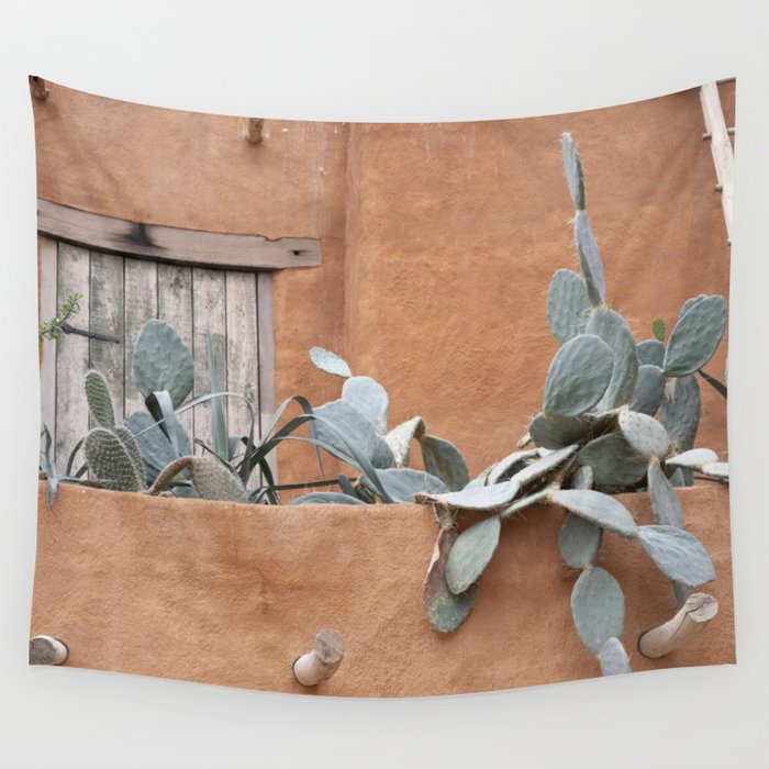Botanical rooftop cactus - terra cotta mexico cacti - nature and travel photography Wall Tapestry