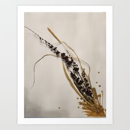 Harvest Time Art Print | Foxtail, Buds, Golden, Harvest, Fall, Naturals, Painting, Blossom, Dried 