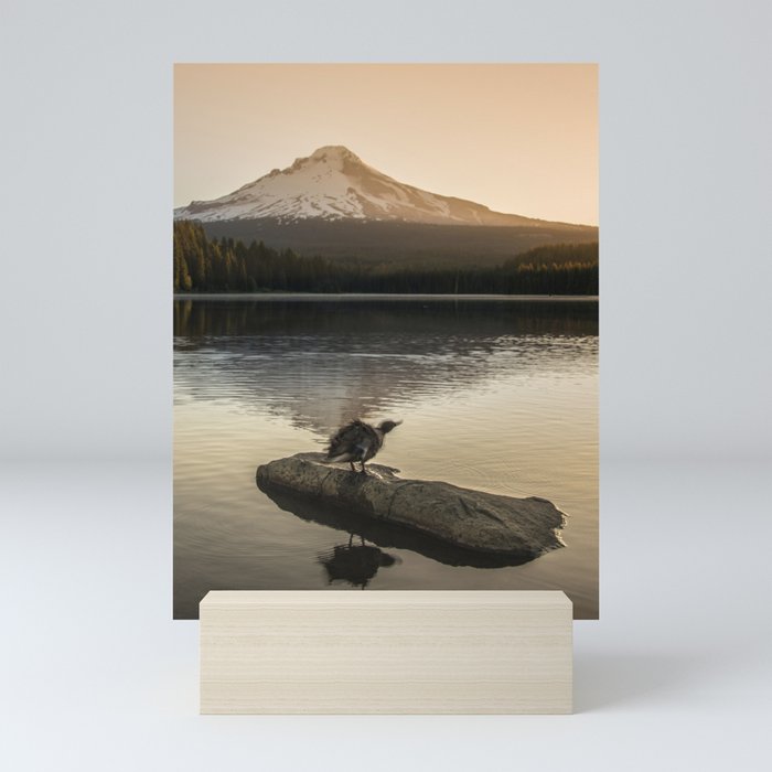 The Oregon Duck II - The Shake Mini Art Print
