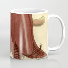 Stapelia leendertziae 140 8561 Coffee Mug