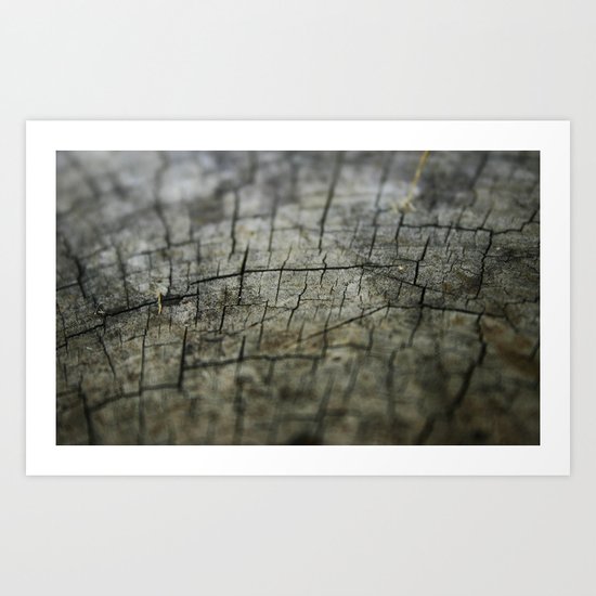 Wood Art Print