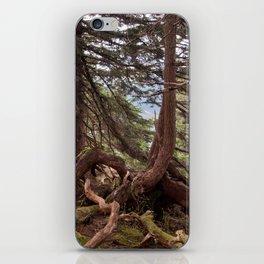 The roots iPhone Skin