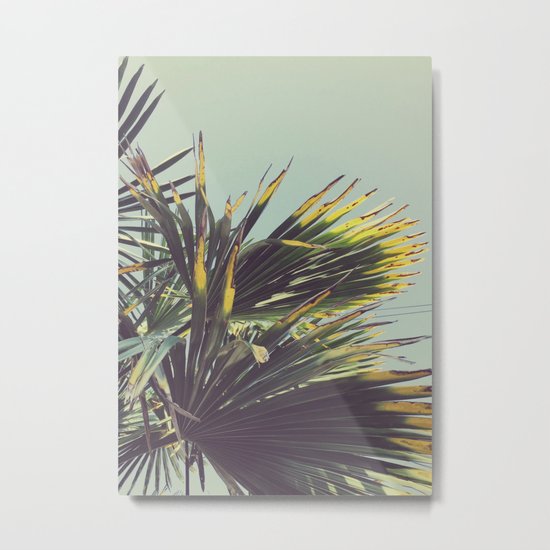 Palm Tree Metal Print