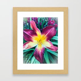 Lily in Color Framed Art Print