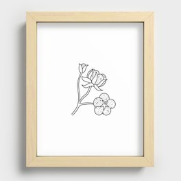Cotton flower Recessed Framed Print